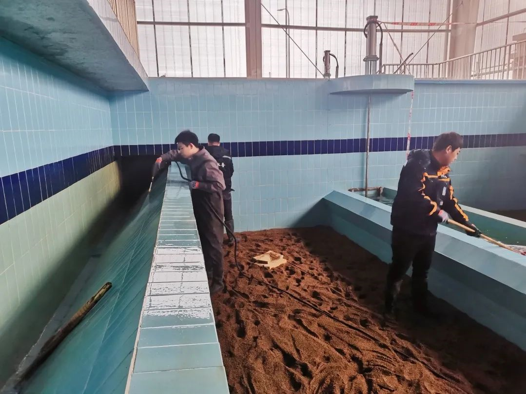 1611107540892952.png image.png