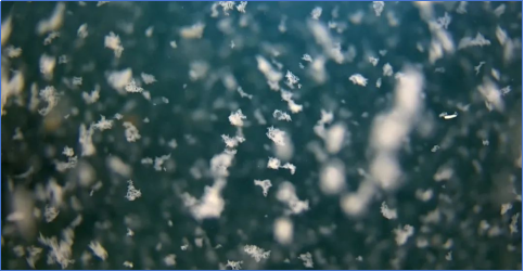 1705893198449509.png image.png