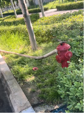 1731379797887745.jpg 1731379875108.jpg